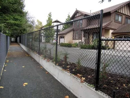 Chain Link Fence