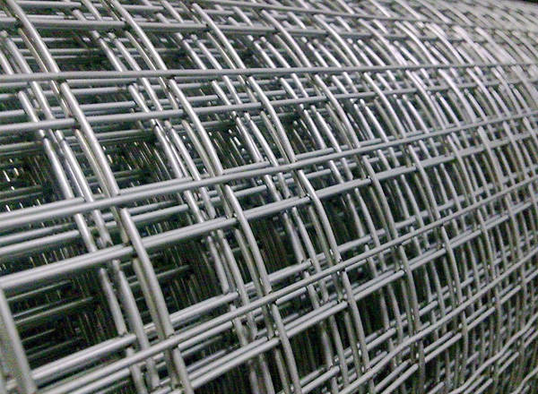 Welded Wire Mesh